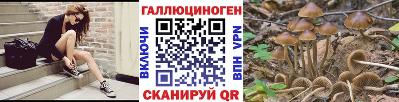 Галлюциногенные грибы GOLDEN TEACHER  МЕГА зеркало  Мамадыш 